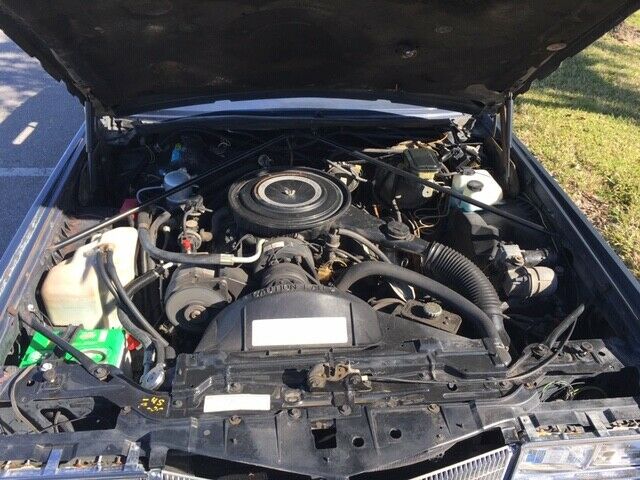 1984 Cadillac Eldorado Biarittz - photo 6