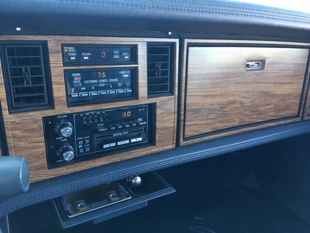 1984 Cadillac Eldorado Biarittz - photo 9