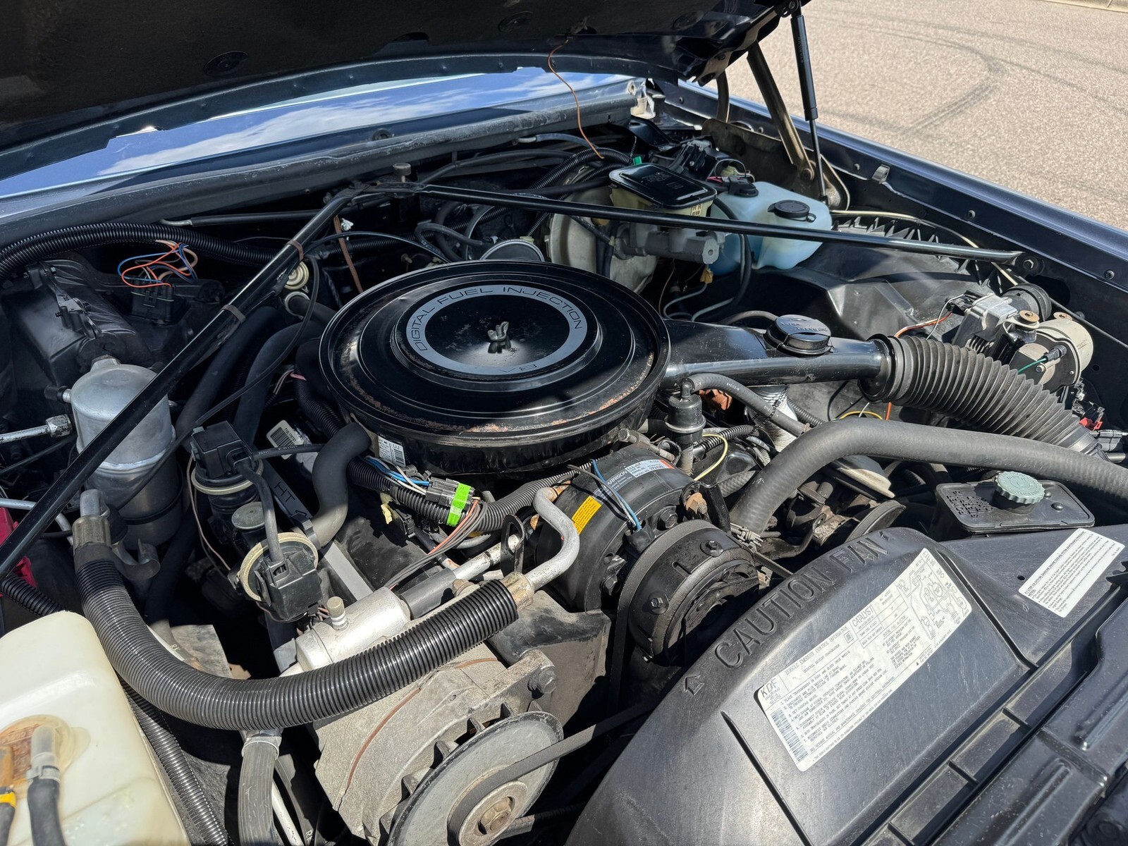 1984 Cadillac Eldorado 2dr Coupe - photo 13