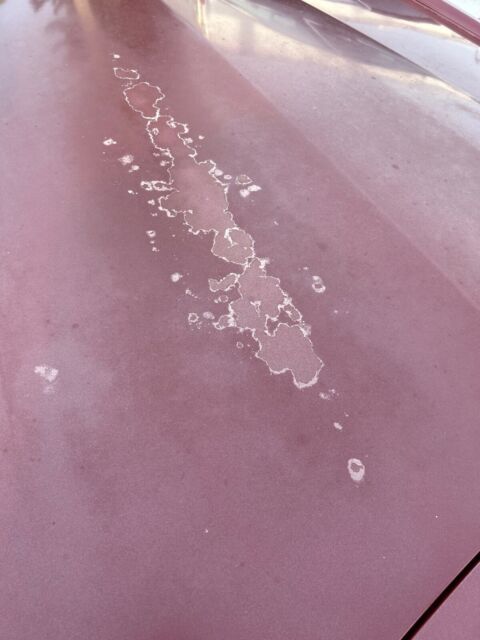 1984 Cadillac Eldorado - photo 6