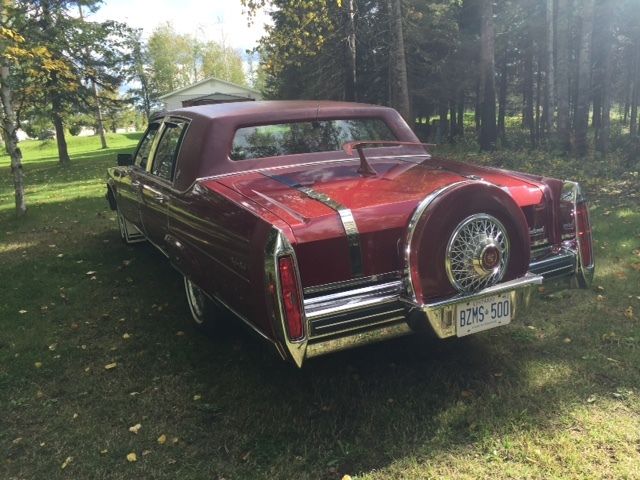 1984 Cadillac Fleetwood D'Elegance - photo 11