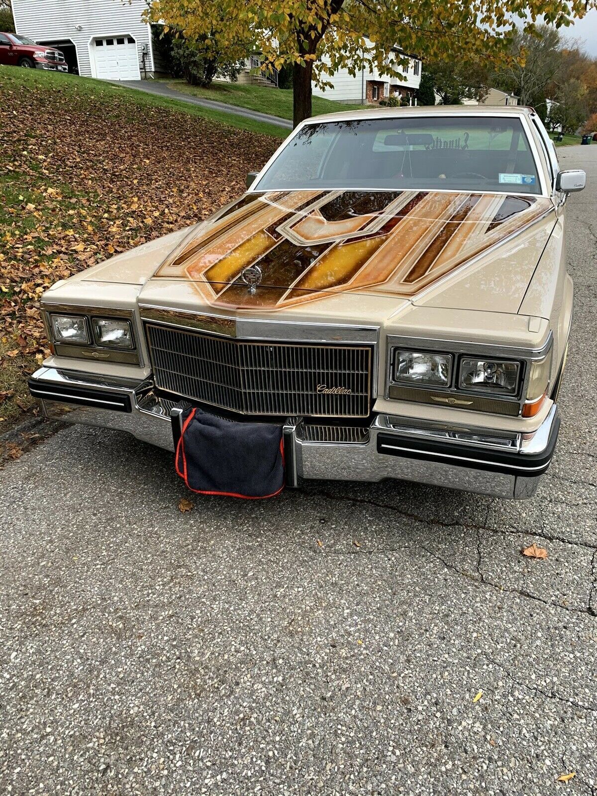 1984 Cadillac Fleetwood BROUGHAM - photo 10
