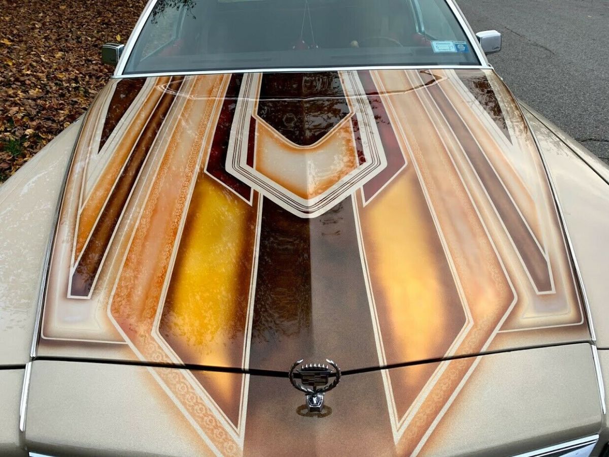 1984 Cadillac Fleetwood BROUGHAM - photo 9