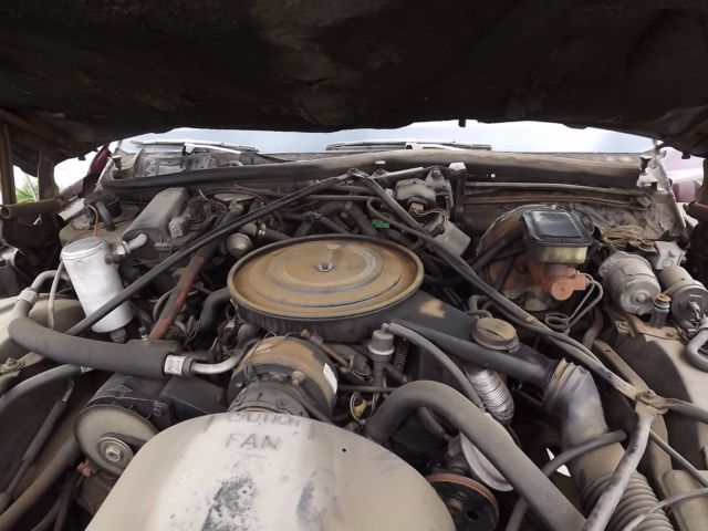 1984 Cadillac Other - photo 11