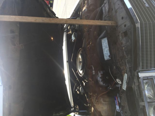 1984 Cadillac Seville Base Sedan 4-Door - photo 12