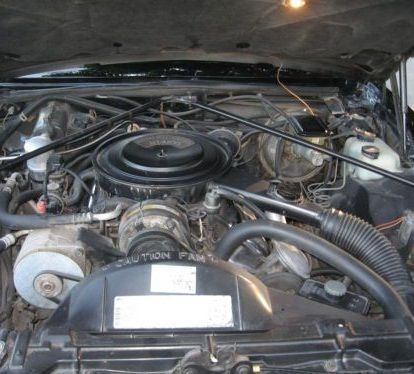 1984 Cadillac Seville Elegante - photo 6