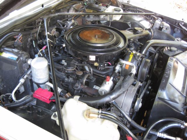 1984 Cadillac Seville - photo 12