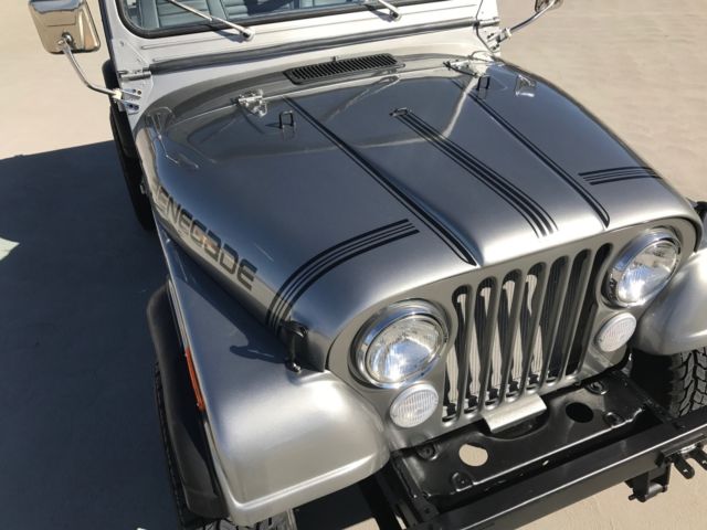 1984 Jeep CJ CJ7 Renegade - photo 6