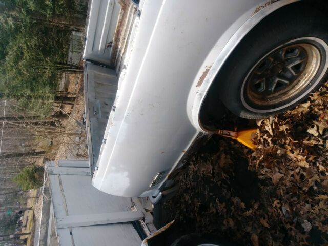 1984 Chevrolet Other Pickups - photo 11