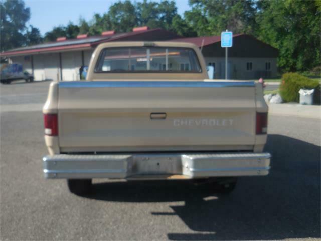 1984 Chevrolet C-10 Custom Deluxe - photo 5