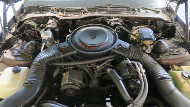 1984 Chevrolet Camaro Z28 Sport 98K! CLEAN CARFAX! RUST FREE! - photo 11