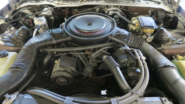 1984 Chevrolet Camaro Z28 Sport 98K! CLEAN CARFAX! RUST FREE! - photo 4