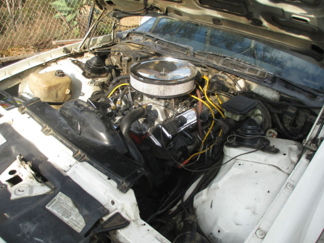 1984 Chevrolet Camaro Z28 H.O. - photo 13