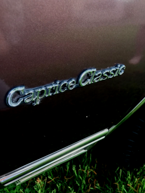 1984 Chevrolet Caprice - photo 11