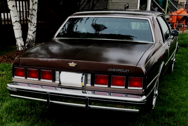 1984 Chevrolet Caprice - photo 7