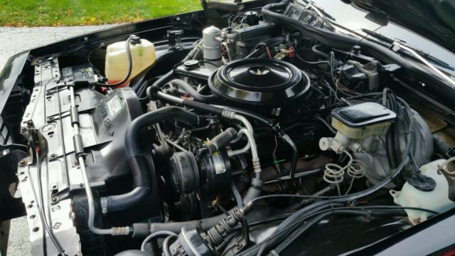 1984 Chevrolet Caprice Classic Sport Coupe - photo 9