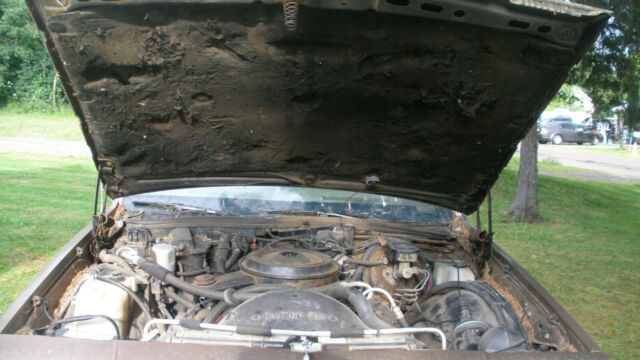 1984 Chevrolet Caprice caprice classic - photo 10