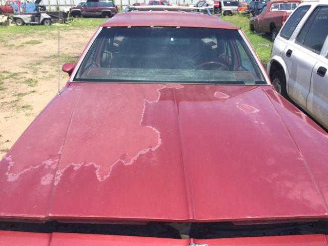 1984 Chevrolet Caprice - photo 10