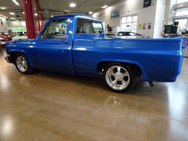 1984 Chevrolet Other Pickups C10 Silverado 2dr Standard Cab SB - photo 12