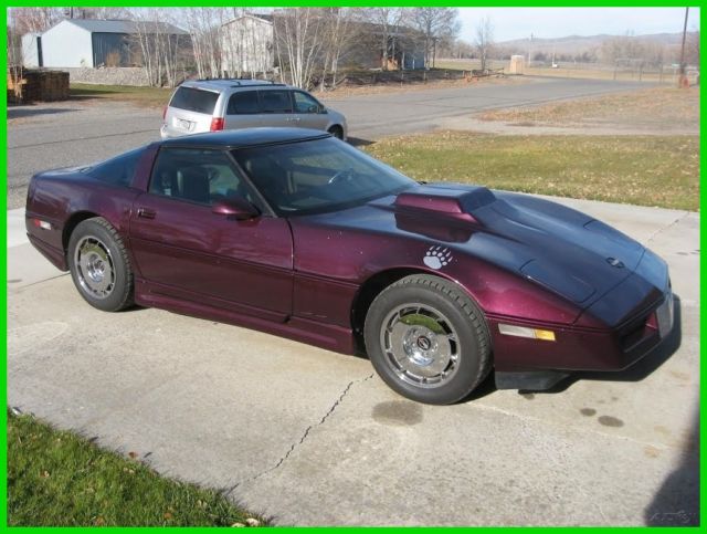 1984 Chevrolet Corvette Custom 5.7L V8 16V Demon Dominator Carb 1984 Chevrolet Corvette