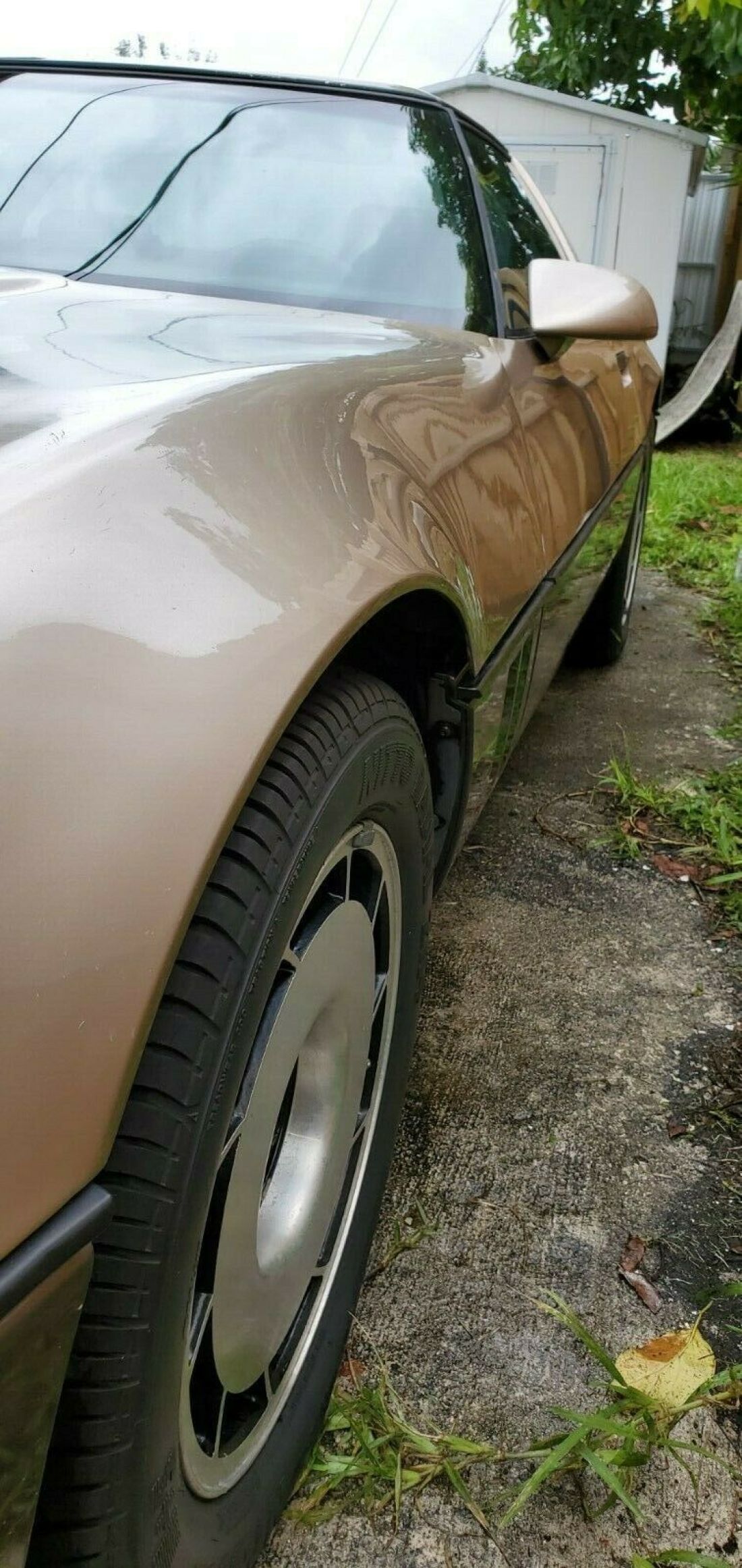 1984 Chevrolet Corvette - photo 4