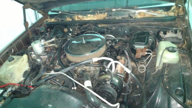 1984 Chevrolet El Camino - photo 11