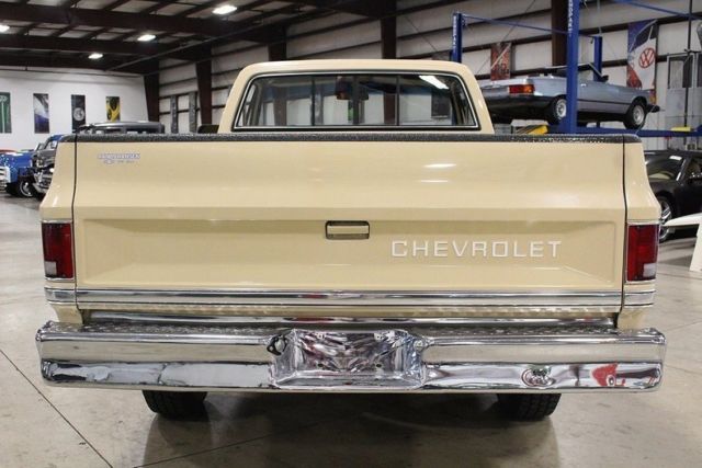 1984 Chevrolet Other Pickups -- - photo 4