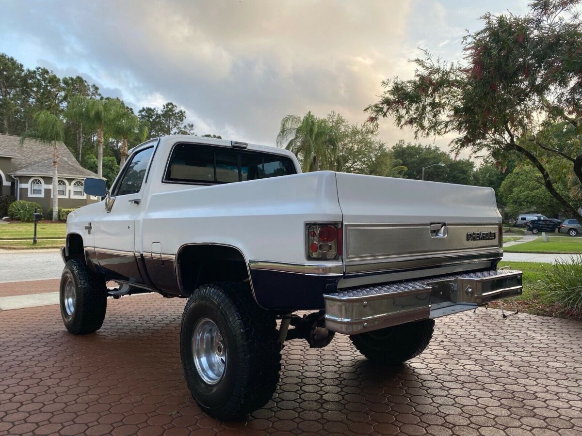 1984 Chevrolet C/K Pickup 1500 LEATHER - photo 5