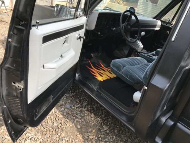 1984 Chevrolet C-10 C10 - photo 8