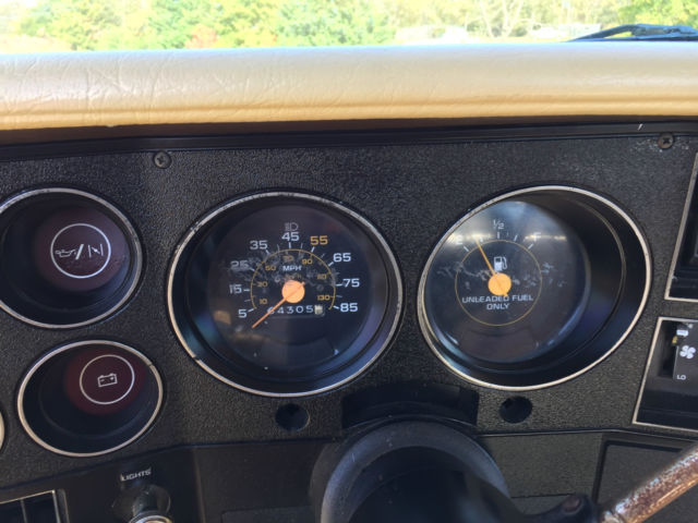 1984 Chevrolet C-10 Custom Deluxe - photo 10