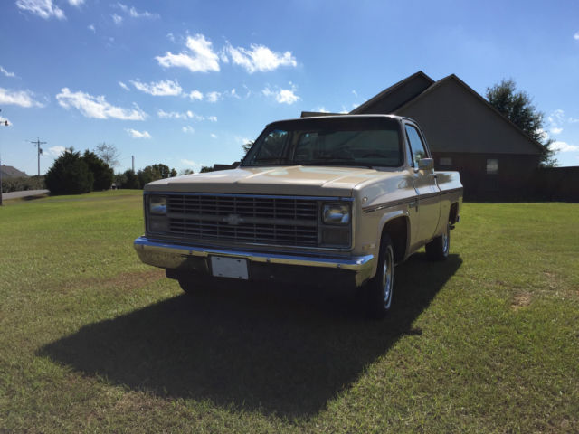 1984 Chevrolet C-10 Custom Deluxe - photo 3