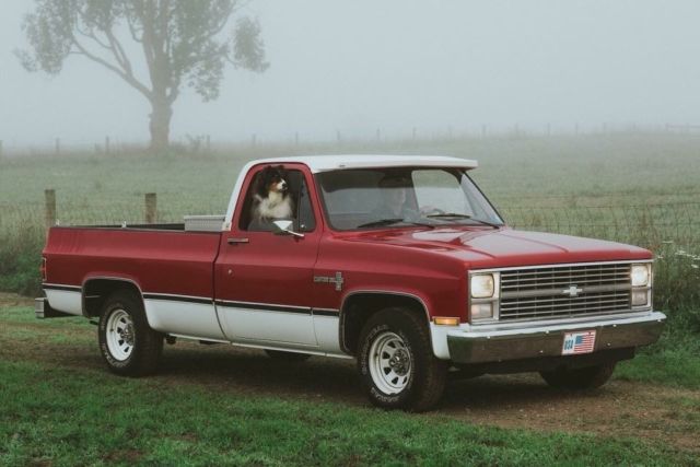 1984 Chevy Custom Deluxe 1/2 Ton Long Wheel Base Truck (Stunning Rare Survivor) 1984 Chevrolet C-10