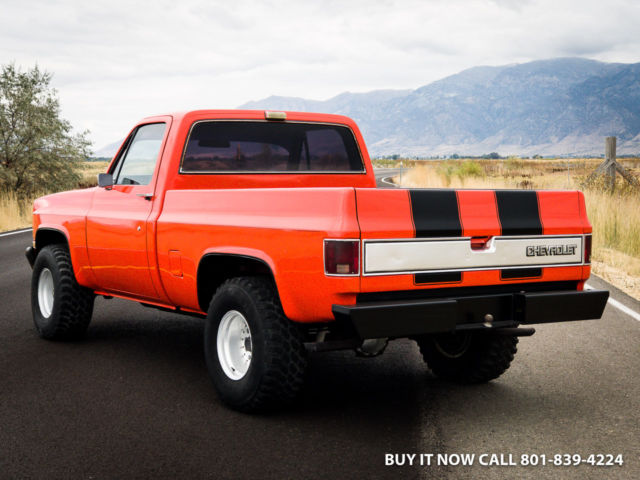 1984 Chevrolet C/K Pickup 1500 Silveradoe K10 4WD 1500 C20 C10 K10 SHOP TRUCK - photo 13