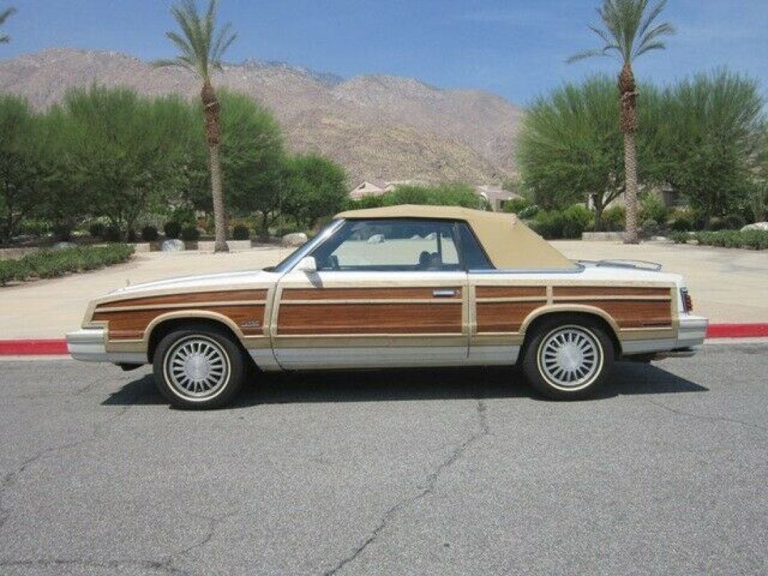 1984 Chrysler LeBaron Town & Country - photo 8