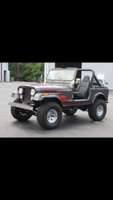 1984 Jeep CJ Renegade - photo 4