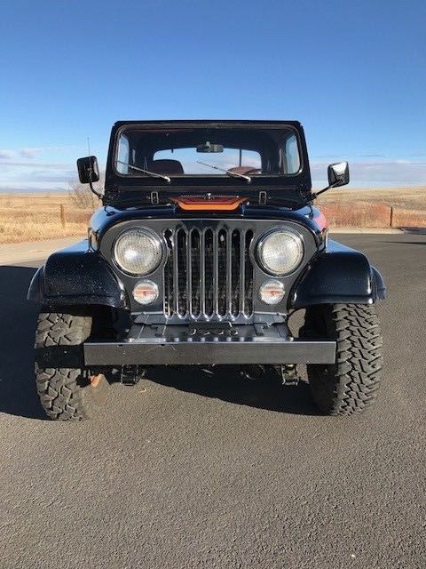 1984 Jeep CJ RENEGADE - photo 9