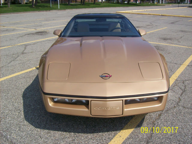 1984 Chevrolet Corvette leather - photo 10