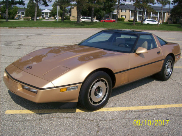 1984 Chevrolet Corvette leather - photo 2