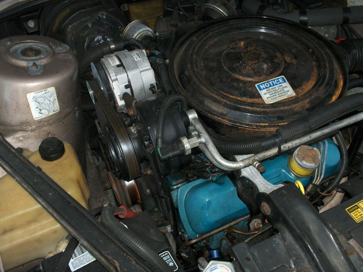 1984 Oldsmobile Ciera Holiday Coupe - photo 12