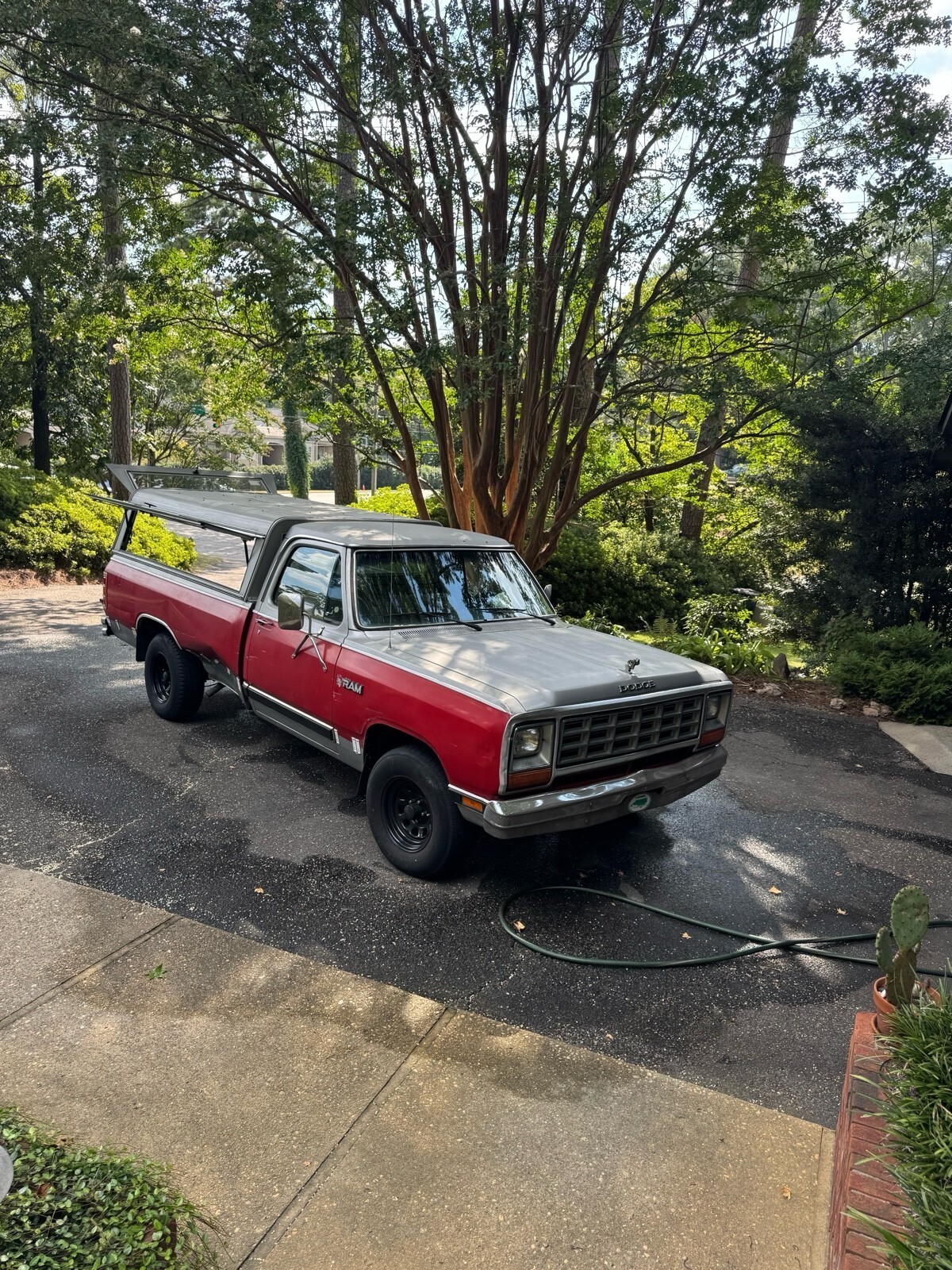1984 Dodge D-Series D150 - photo 9