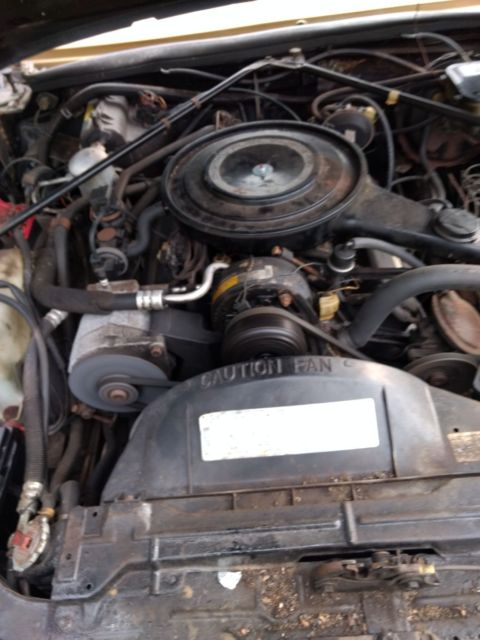 1984 Cadillac Eldorado - photo 2