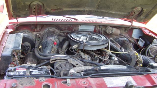 1984 Ford Bronco Eddie Bauer - photo 7