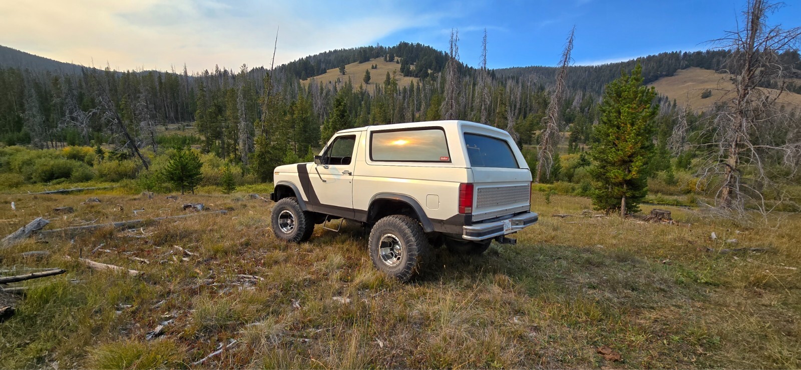 1984 Ford Bronco U100 - photo 3