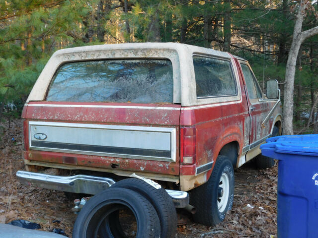 1984 Ford Bronco XLT