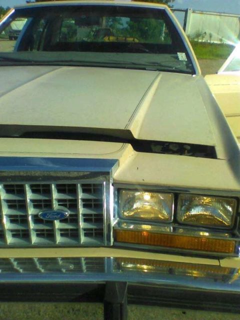 1984 Ford LTD - photo 4