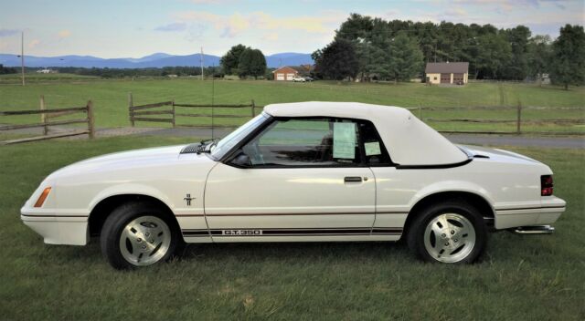 1984 Ford Mustang Specific 20th. Anniversary Trim - photo 2