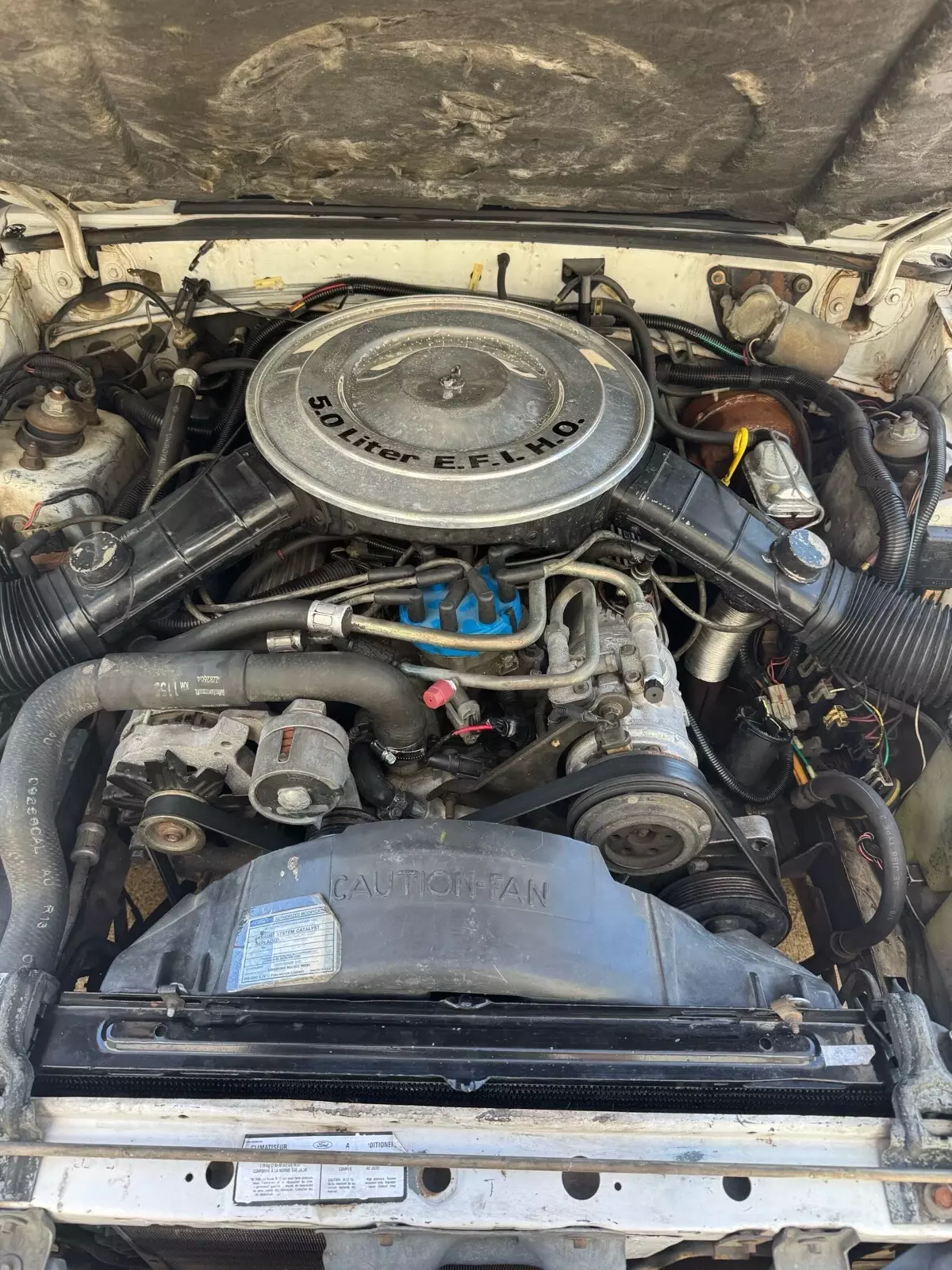1984 Ford Mustang GLX - photo 9