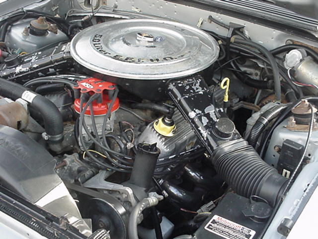 1984 Ford Mustang GT HO - photo 7