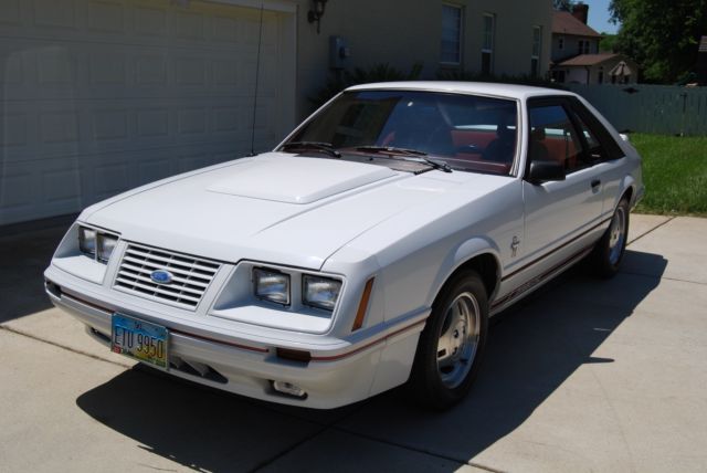 1984 Ford Mustang GT350 - photo 2