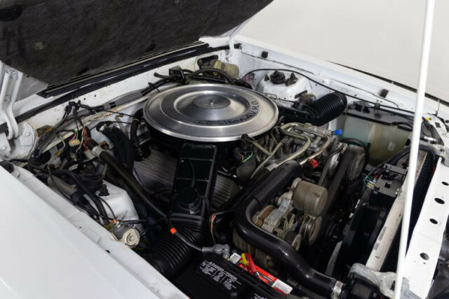 1984 Ford Mustang GT350 - photo 3